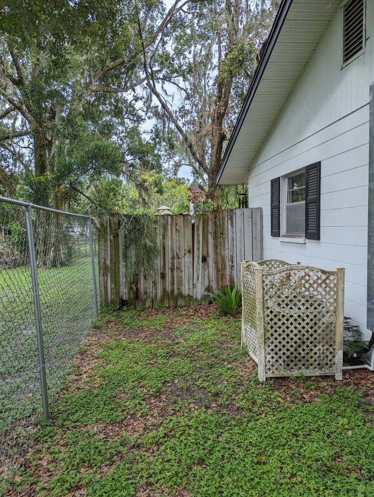 All Photos for Regal Tree Service and Stump Grinding in Wauchula, FL