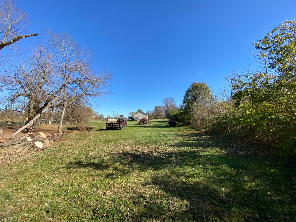 All Photos for Houtz Tree Service in Lexington, KY