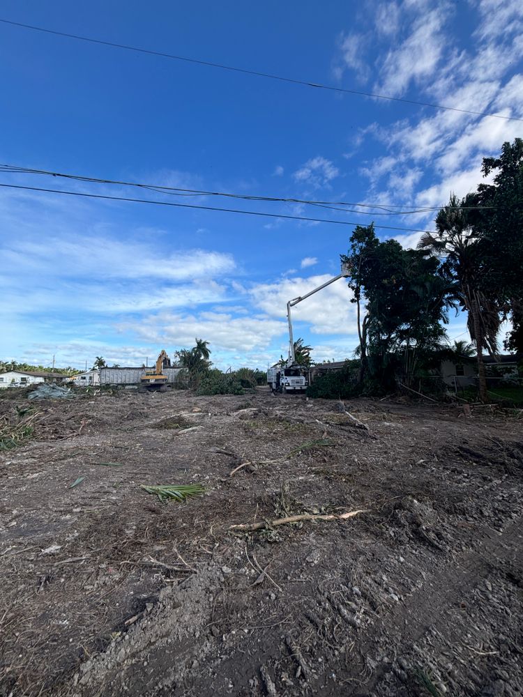 All Photos for Regional Land Construction in Miami, FL