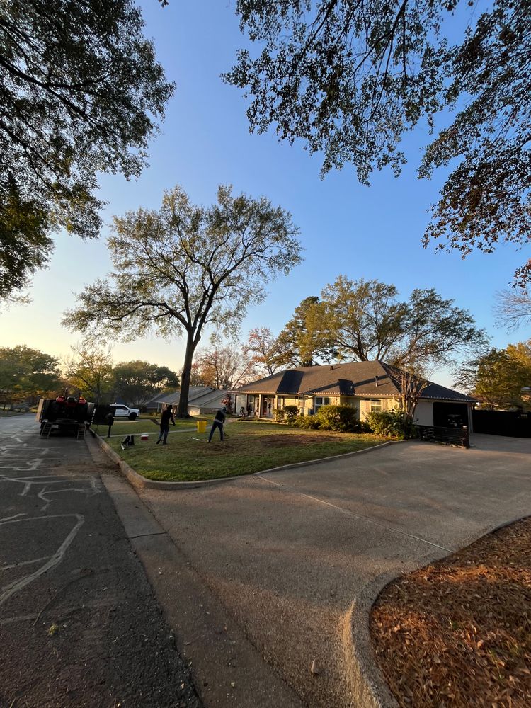 All Photos for JC Land and Tree Service in Kilgore, TX