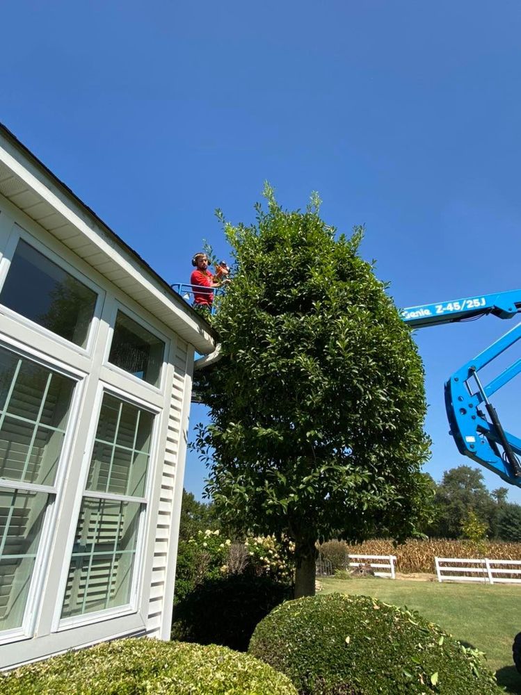 Fall Clean Up for Freedom Works Lawnscaping in Dyer County, Tennessee