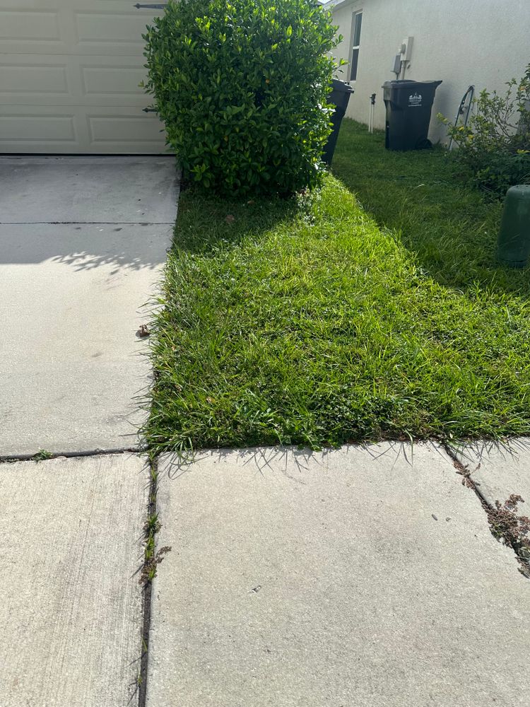 All Photos for The Yardman in Tampa, FL