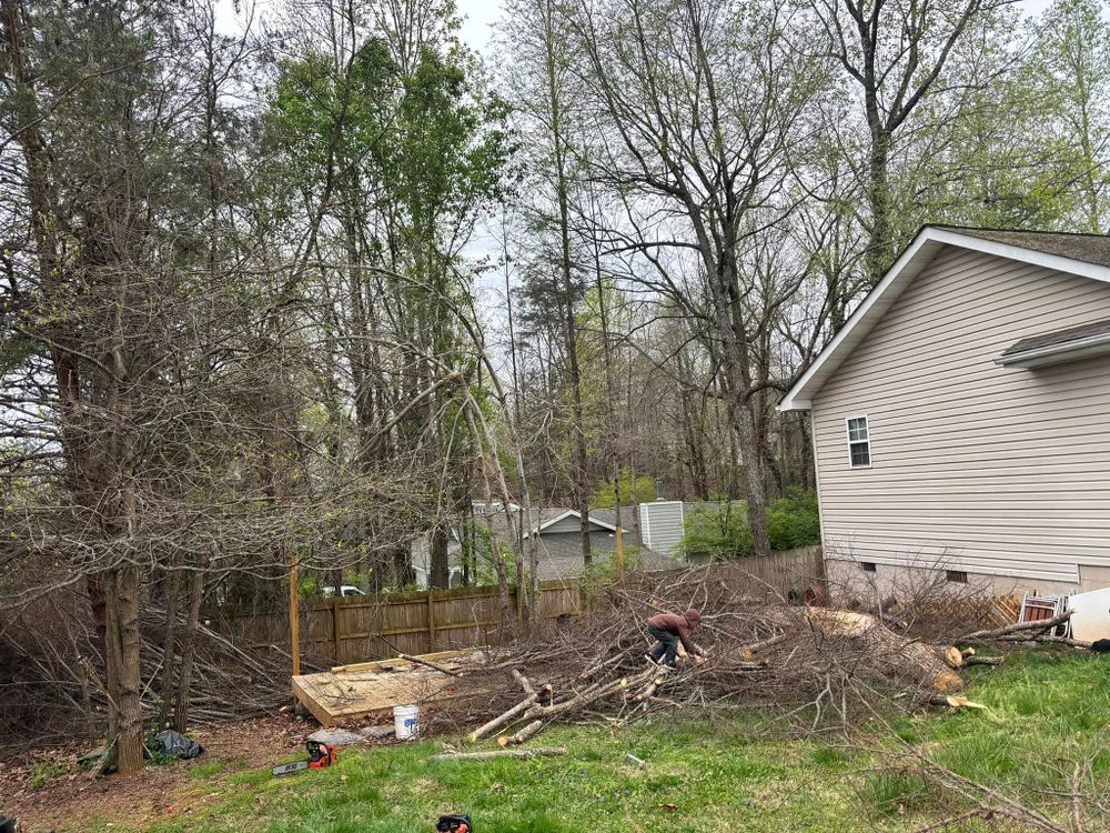 All Photos for Wade's Family Tree Service in Townsend, TN