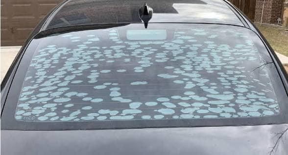 All Photos for Apex Windshield Repair & Window Tinting Myrtle Beach in Myrtle Beach, SC