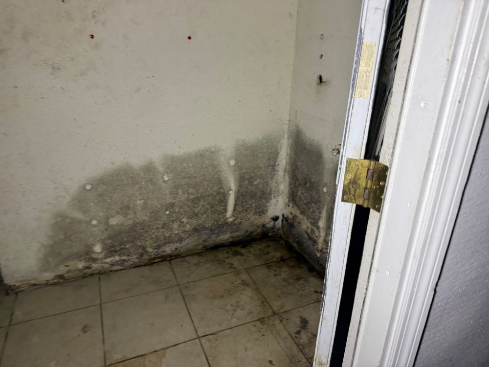 All Photos for Surplus Public Adjusters in Miami-Dade County, FL