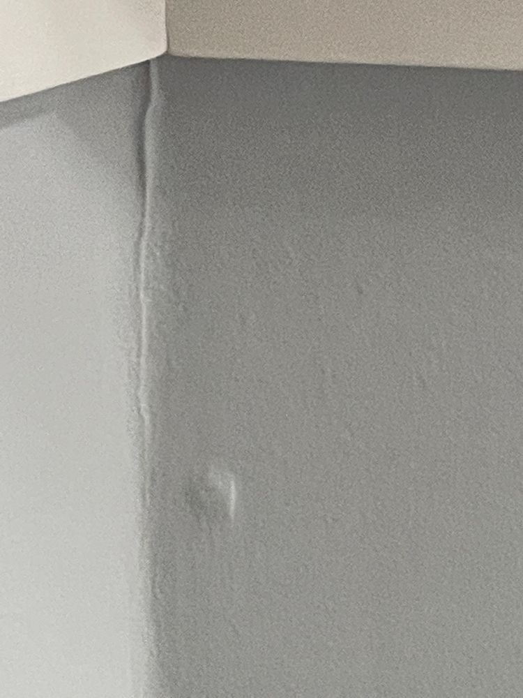 All Photos for Tony's Remodeling & Painting in Renton, WA