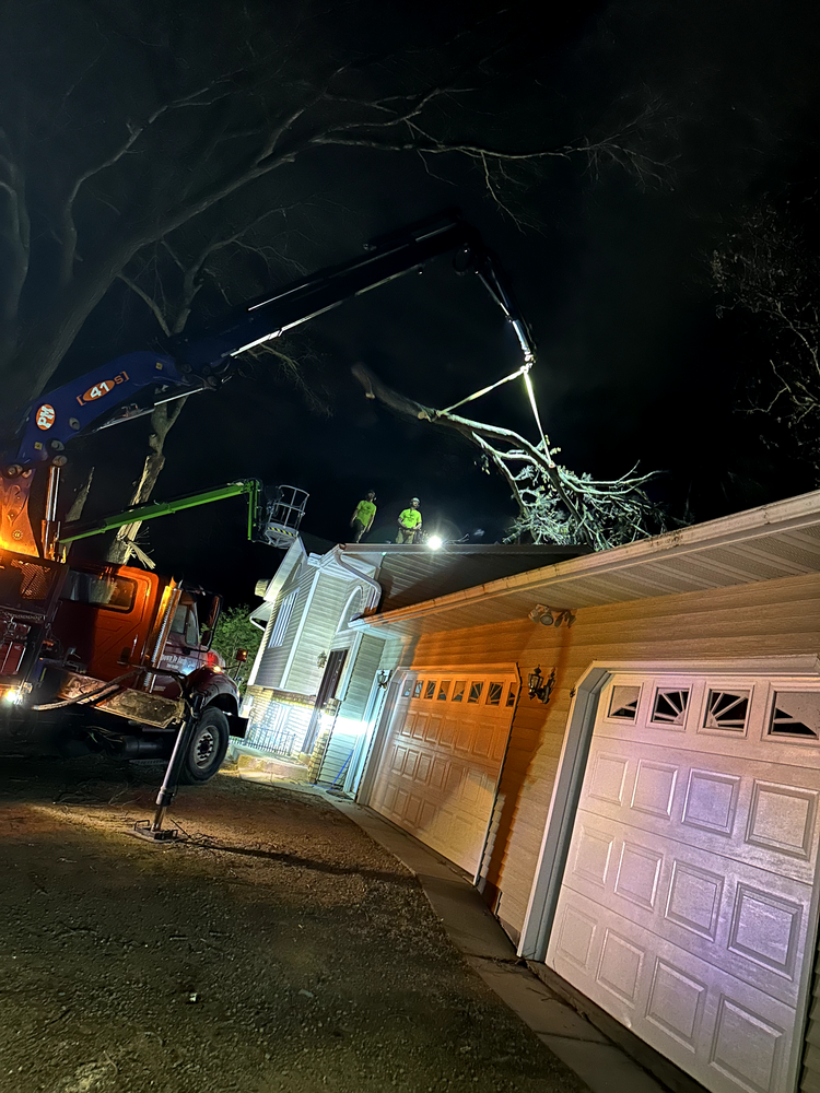 All Photos for Down To Earth Tree Service in Red Wing,  Minnesota
