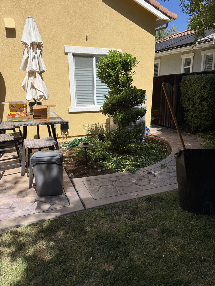 All Photos for CBA Landscaping in Hayward, CA