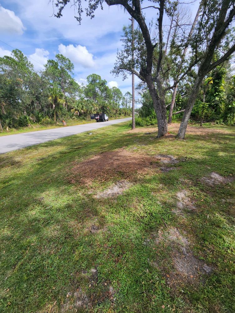 All Photos for Nick of Time Tree Service in North Port, FL