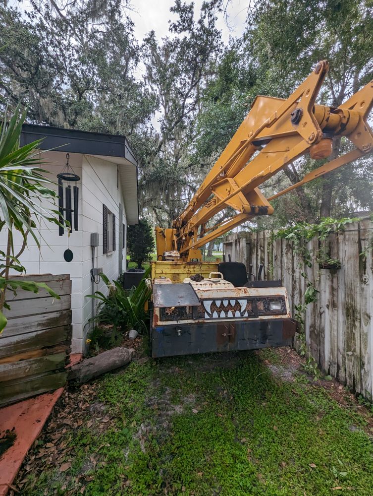 All Photos for Regal Tree Service and Stump Grinding in Wauchula, FL