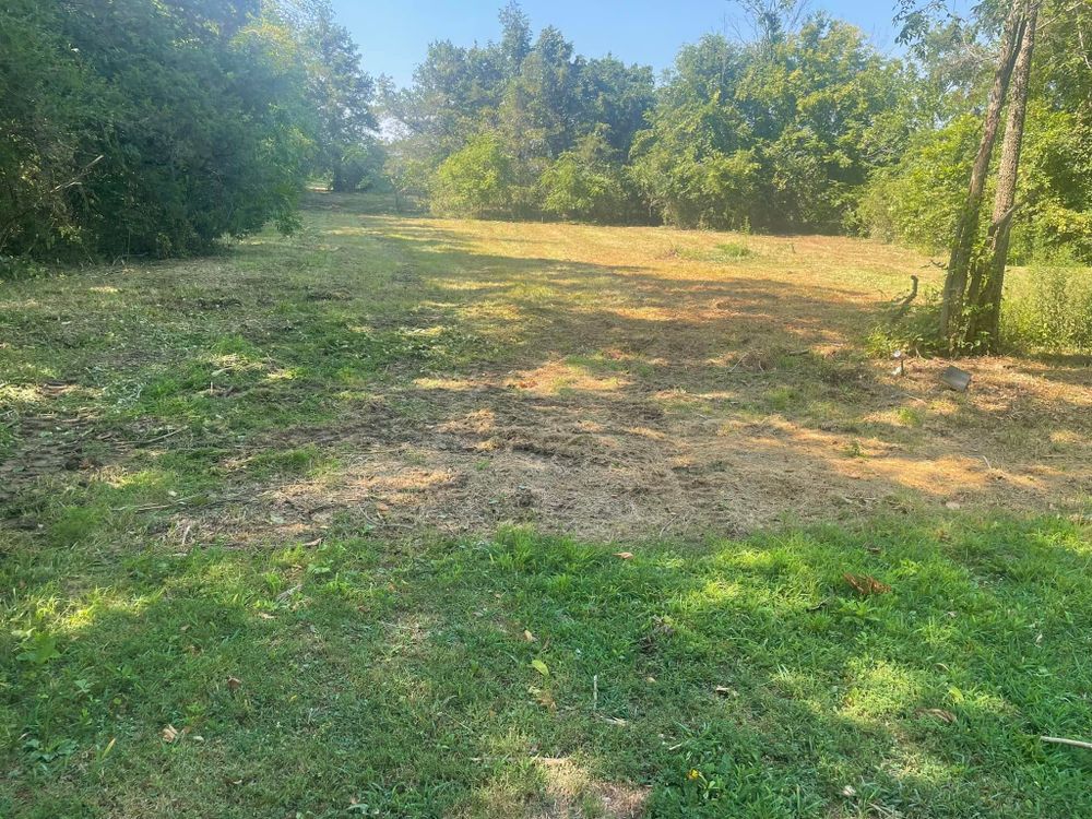 All Photos for JC Land Clearing in Shelbyville, TN