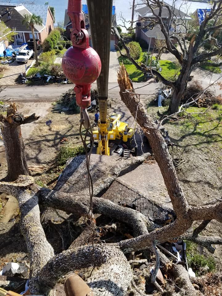 Tree Removal for Spruce Creek Tree Service in Port Orange, FL