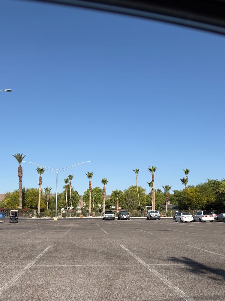 Tree trimming for Top Notch Landscape Services LLC in Mohave Valley, AZ