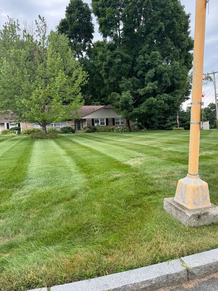 All Photos for Adams Landscaping in Springfield, MA
