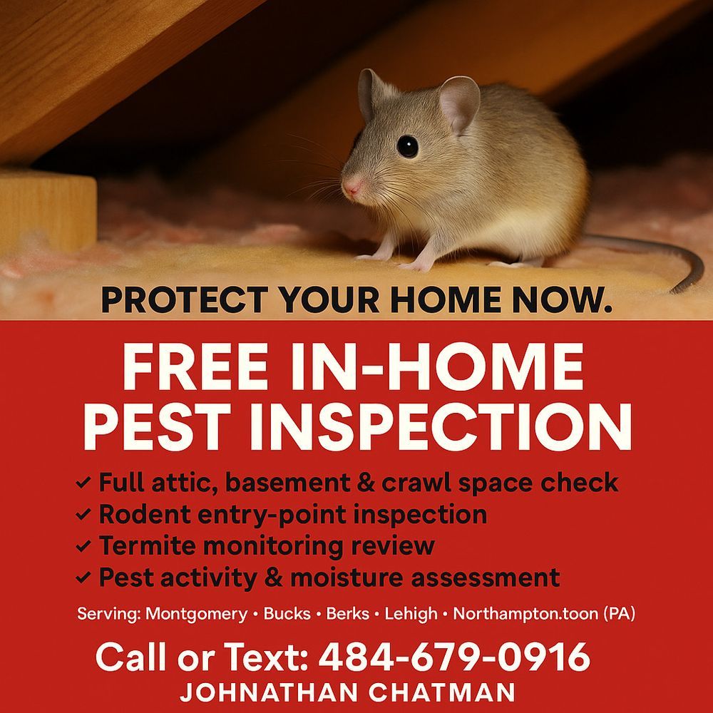 Pest Control for Pest Control Management in Montgomery County, PA