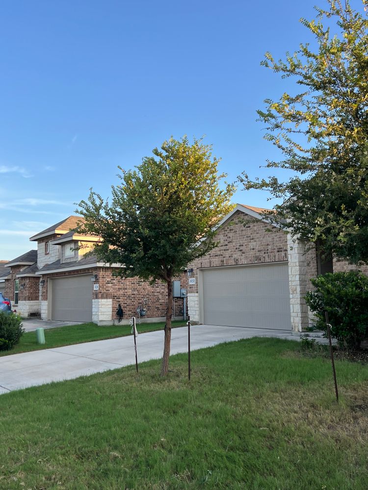 All Photos for DR Landscape in San Antonio, TX