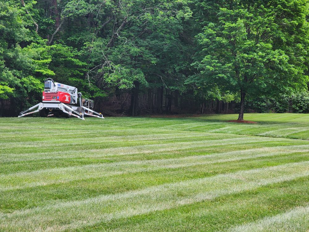 All Photos for Owens Tree Services in Inman, SC
