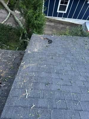 All Photos for Bulldawg Disaster Response in Atlanta, GA