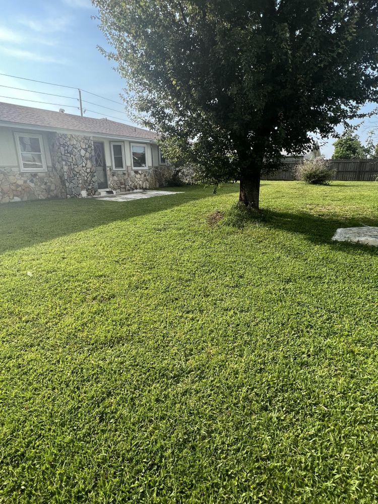 All Photos for Lawn Dog Mowing and Lawn Services in Panama City, FL