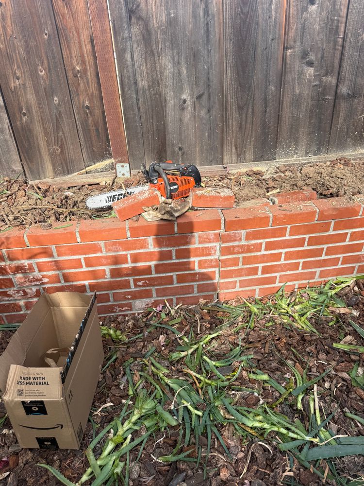 All Photos for CBA Landscaping in Hayward, CA