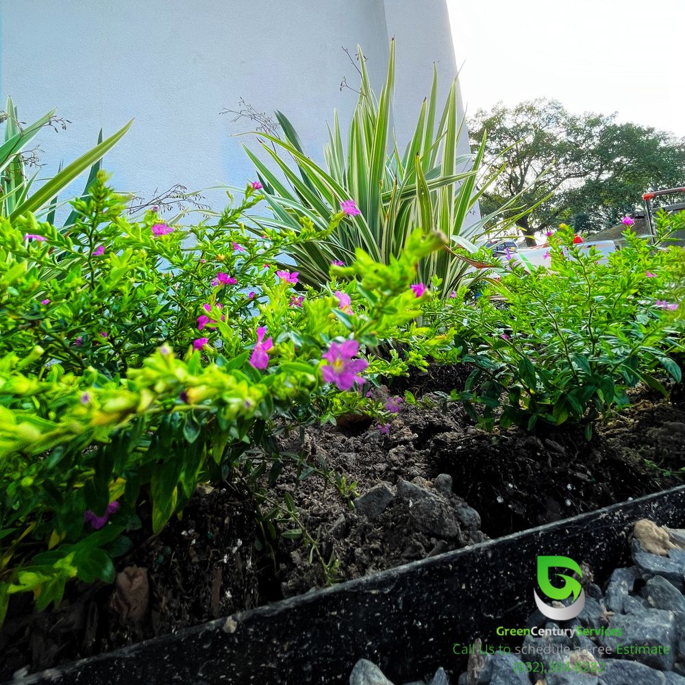 Exterior Renovations for Texas Estate Construction in West University Place, TX