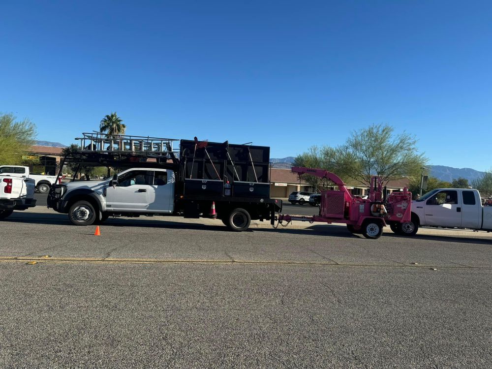 Property Clean Up for The Tree Fairy in Temecula, CA