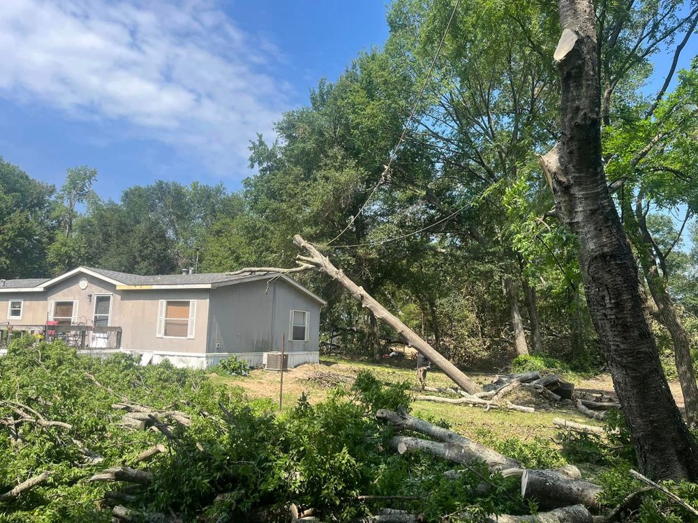 All Photos for JC Land and Tree Service in Kilgore, TX