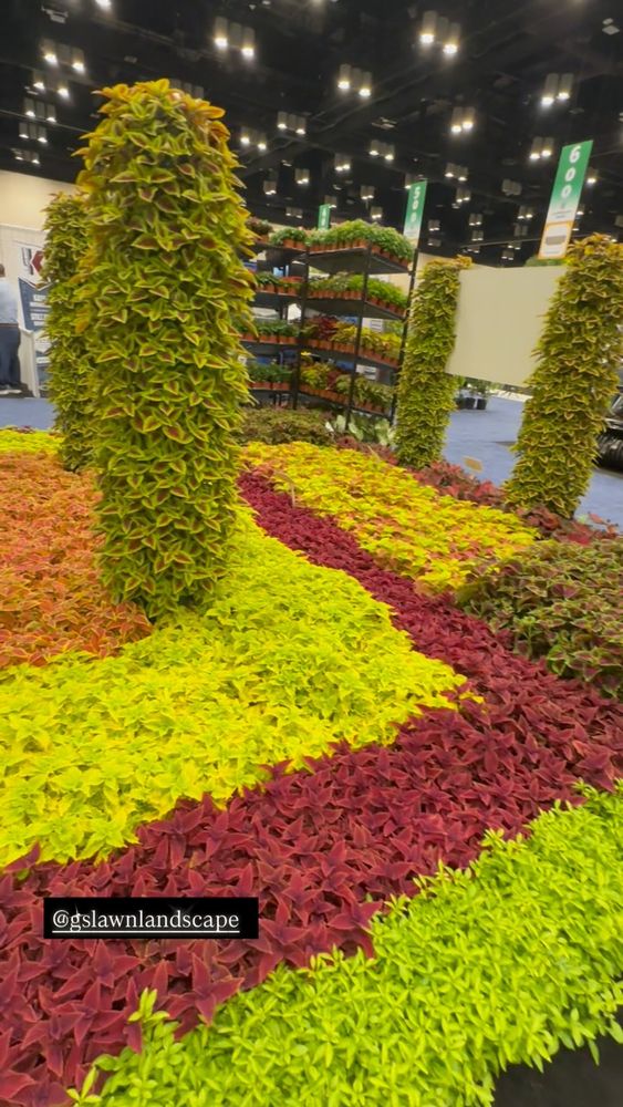 All Photos for GS Lawn & Landscape in Clearwater, FL