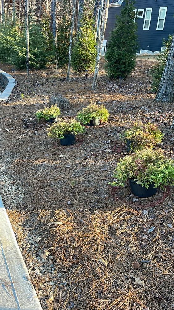 Fall and Spring Clean Up for Lively Landscaping LLC - NC in Franklinton, North Carolina