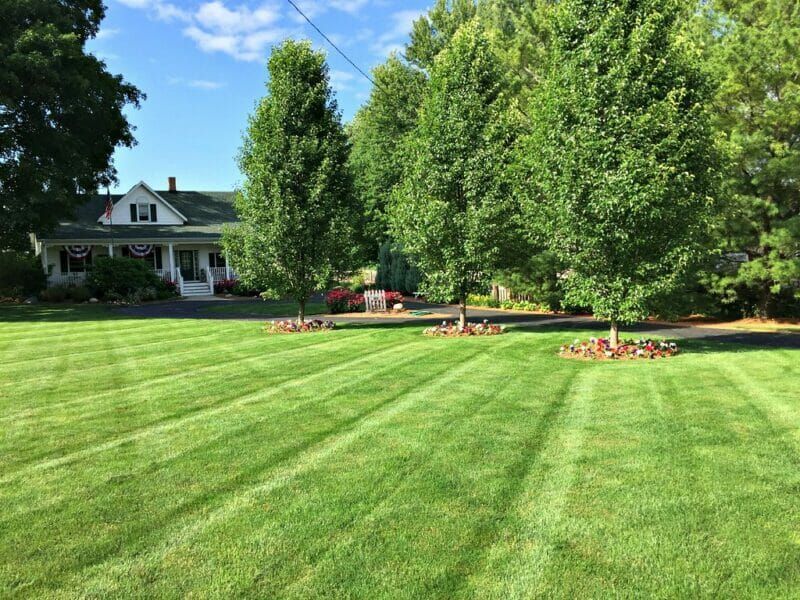 All Photos for Clark's Cuts Lawn Care in Lilburn, GA