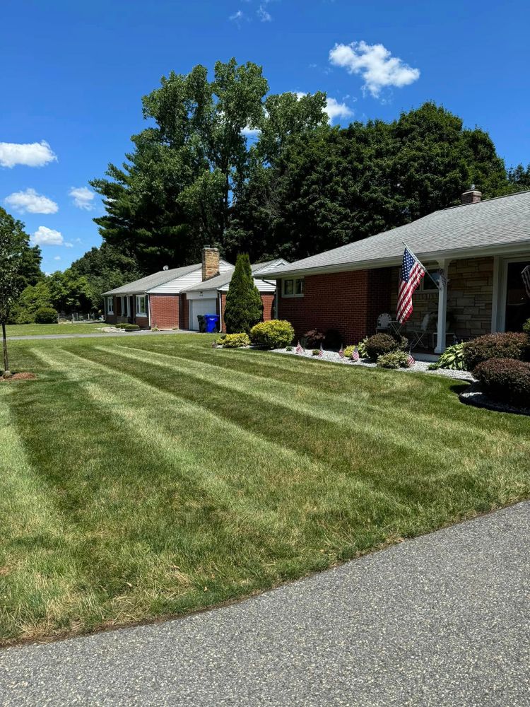 All Photos for Adams Landscaping in Springfield, MA