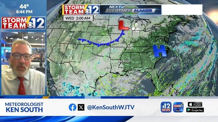 All Photos for Action Tree & Debris Removal in Jackson,  MS