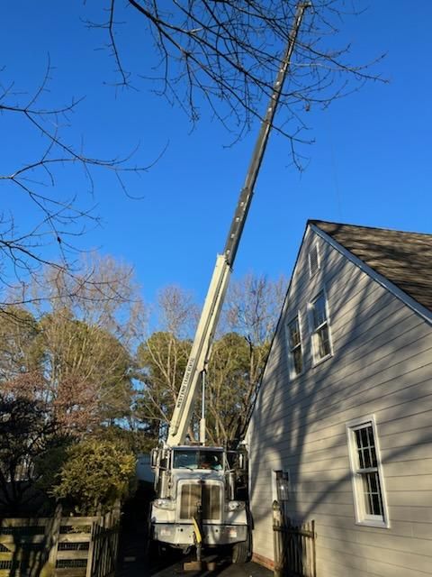 All Photos for Smith Tree Experts in Palmyra, VA