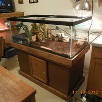 Custom Terrarium and Aquarium Stands  for J & S Handyman Services in Aumsville, OR