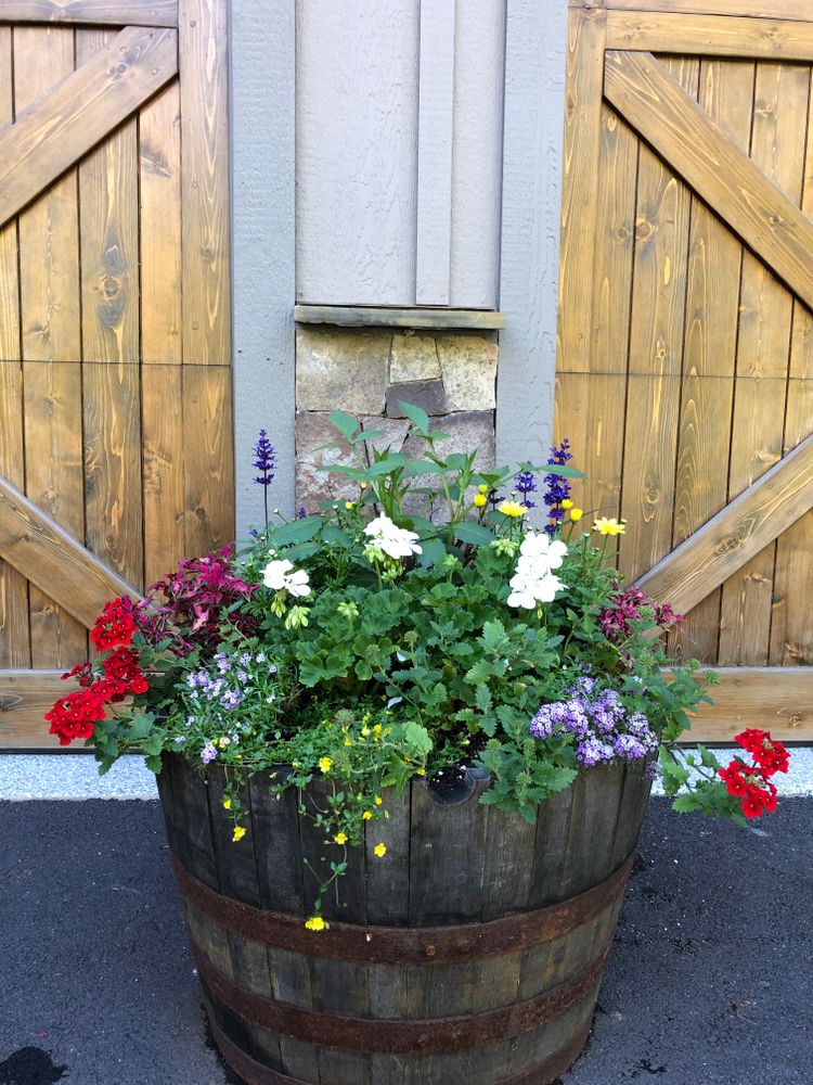 Container Gardening for Sustainable Lawn and Landscape in Banner Elk, NC