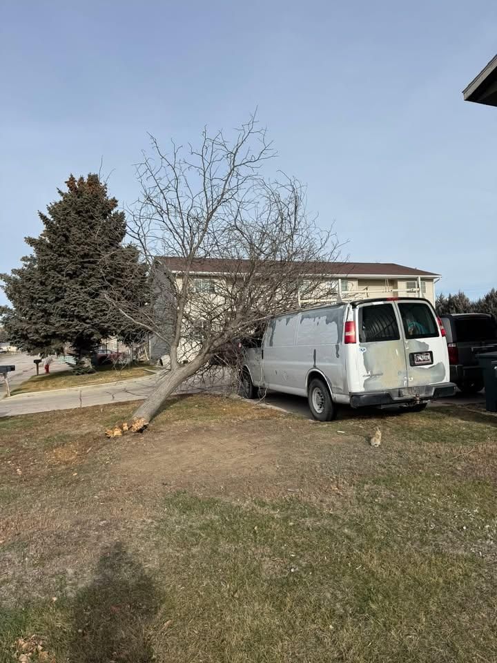 All Photos for Clean Cut Tree Service in Gillette, WY
