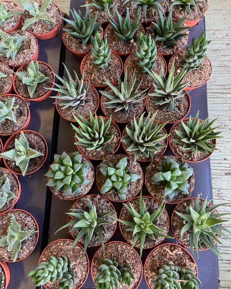 All Photos for S&R Landscaping and Nursery in Charlotte, NC