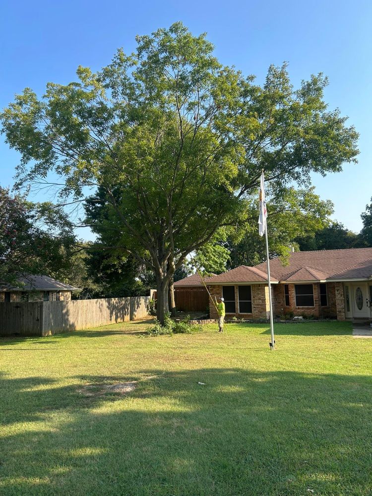 All Photos for Teague Trees and Land Clearing in Rendon, TX