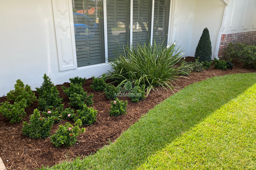 Landscaping for A.C.'s Landscape and Lawn Maintenance in   Coral Springs, FL