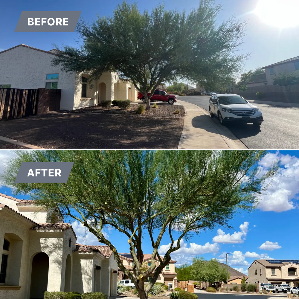 Topiary & Lawn Care for Grand Canyon State Landscape Inc. in Surprise, AZ