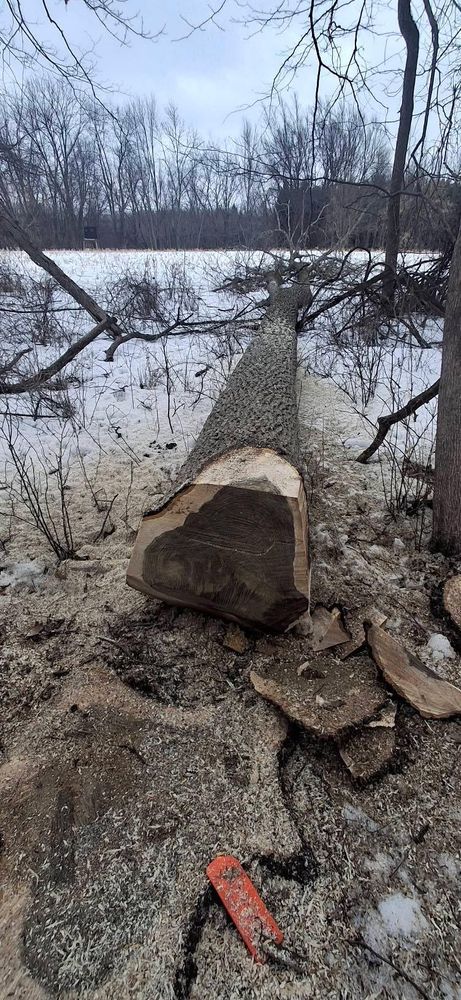 All Photos for God's Country Timber Management in Hillsdale, MI