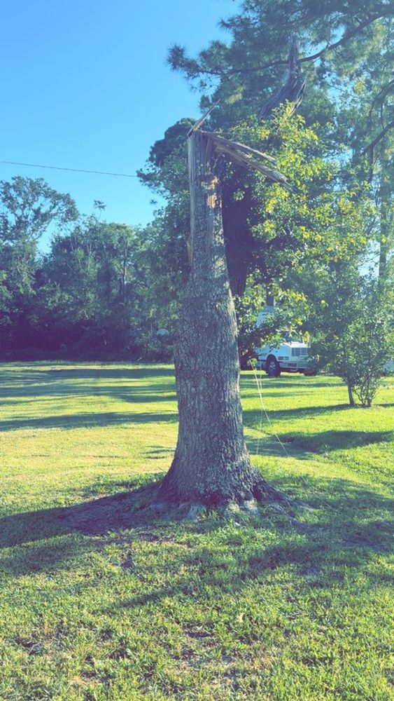 All Photos for Hawkins Tree Service & Land Management in Richmond Hill, GA