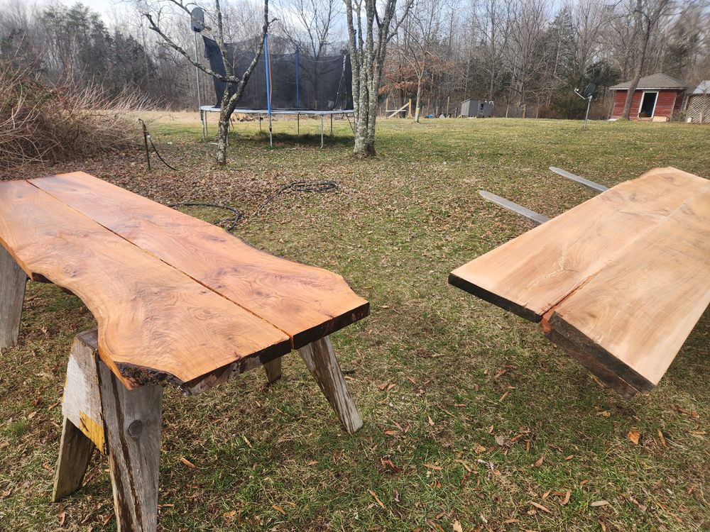 All Photos for Smith Tree Experts in Palmyra, VA