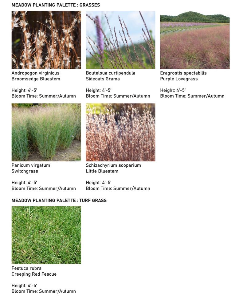 All Photos for Ardisi Landscaping & Design in Poughkeepsie, NY 