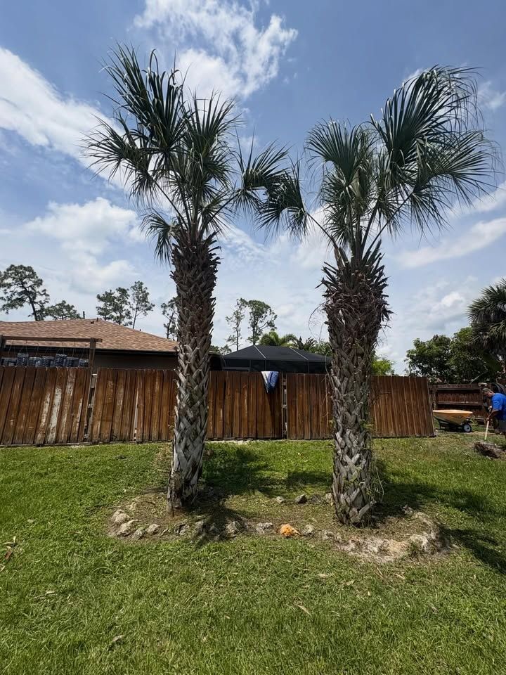All Photos for R&R GreenWorks in North Port, FL