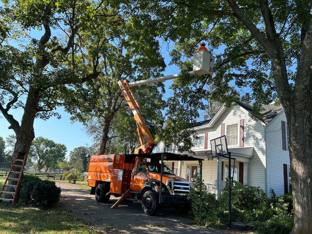 Transforming Landscaping & Tree Service team in Bowling Green, KY - people or person