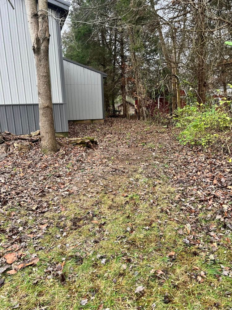 Tree Services for Kadin’s Tree Service in North Vernon, IN