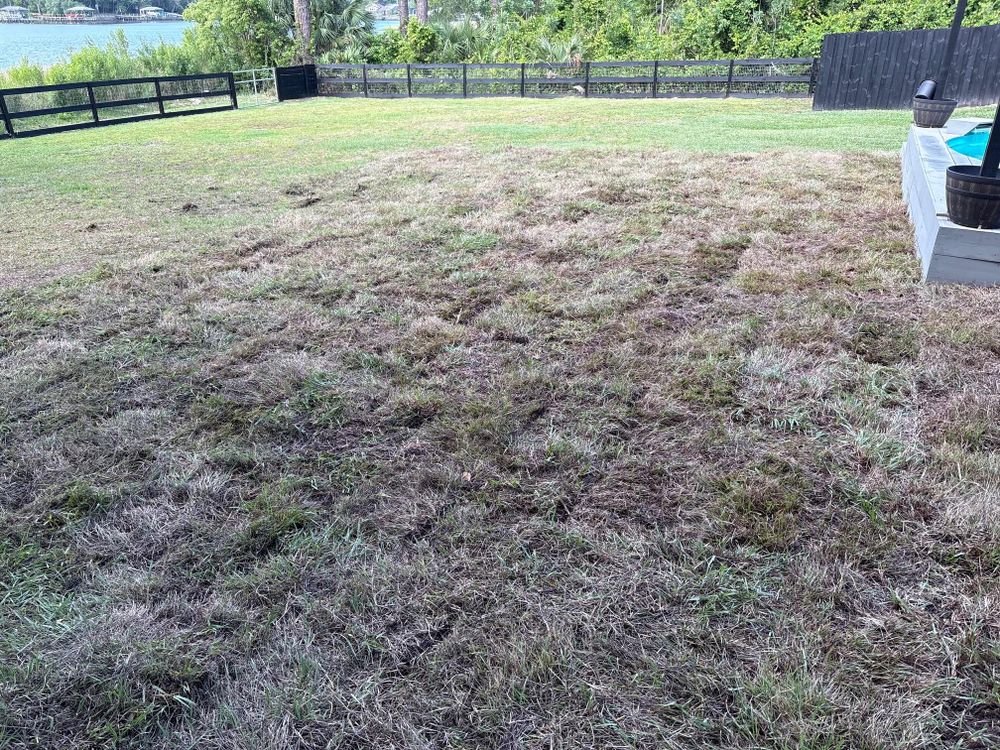 All Photos for K & A Landscaping, Inc. in Jacksonville, FL