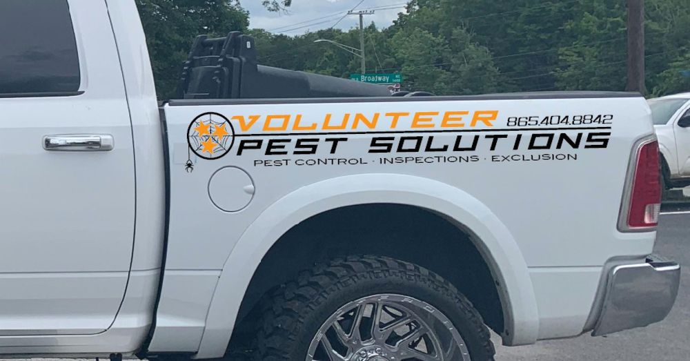 Volunteer Pest Solutions team in Knoxville, TN - people or person