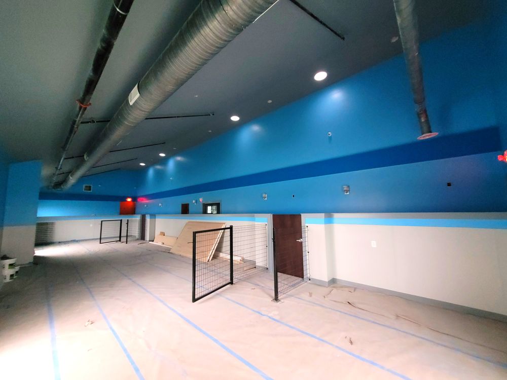 All Photos for Eagle Five Stars Painting in Brazos Valley, TX